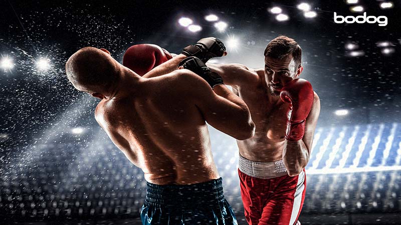 boxeo apuestas online