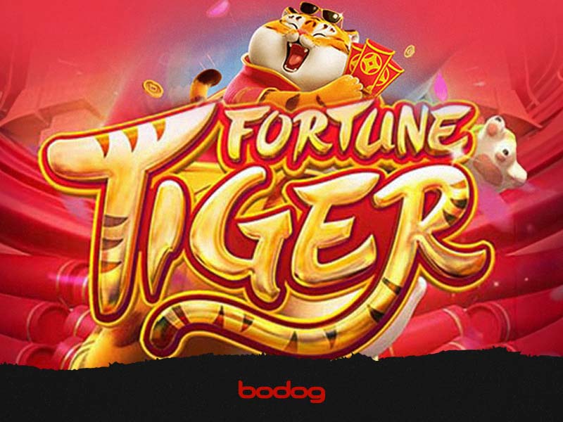 fortune tiger slot