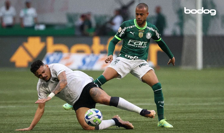 Prognóstico para Palmeiras x Botafogo