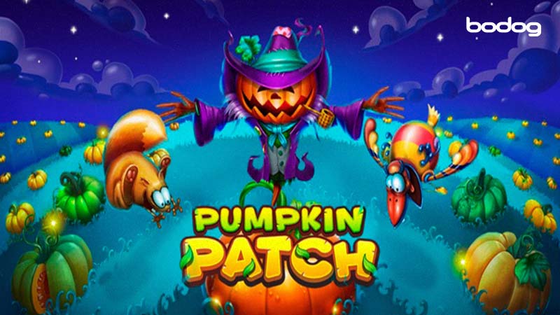 pumpkin patch slot