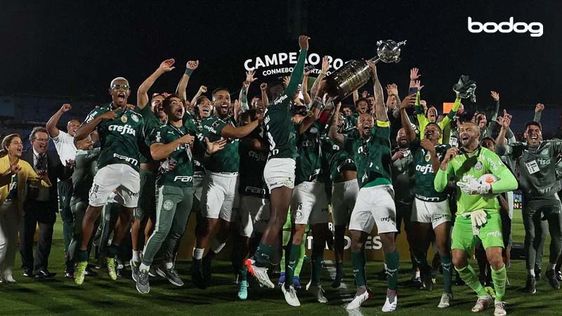 equipo palmeiras futebol