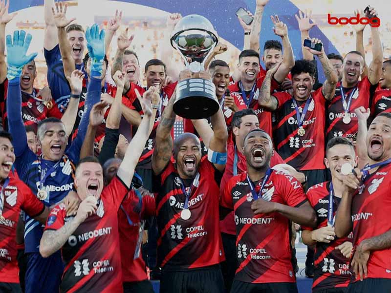 campeoes brasileiros copa