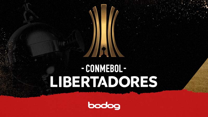 copa libertadores apostar