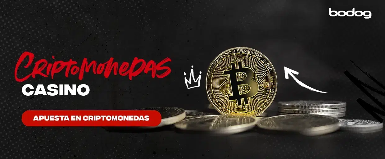 apostar criptomonedas online bodog