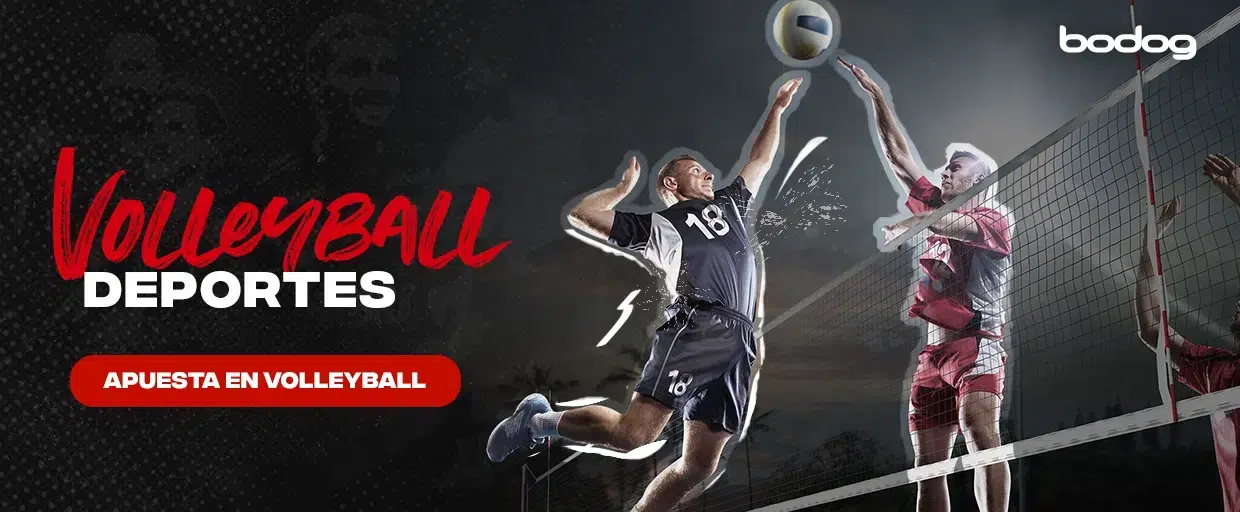 apostar volleybol online bodog