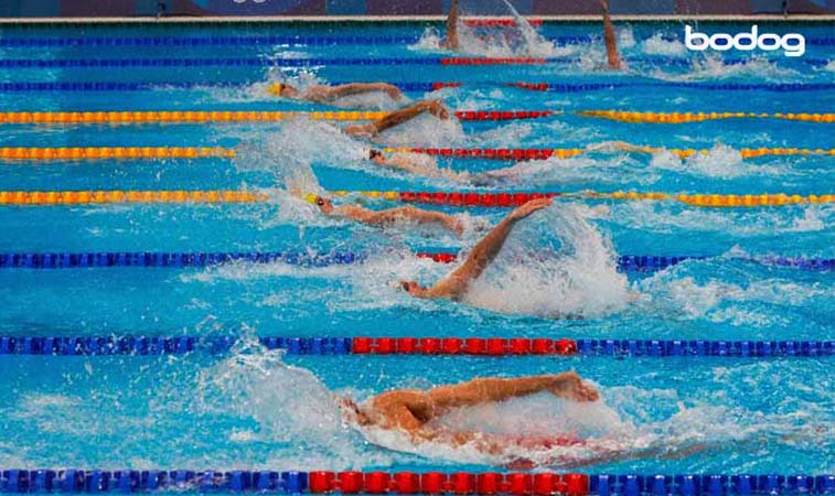 Natación olímpica paris 2024