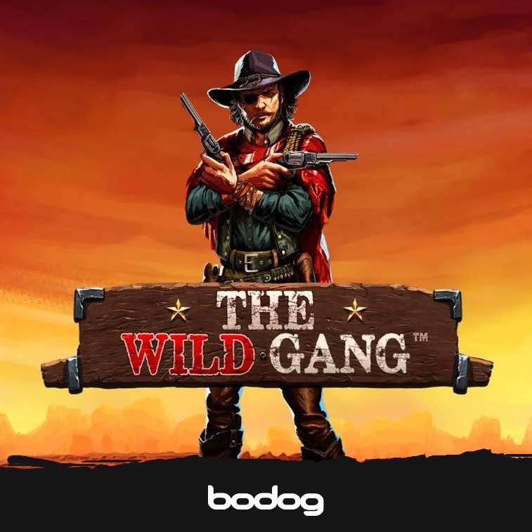 The Wild Gang apresentação