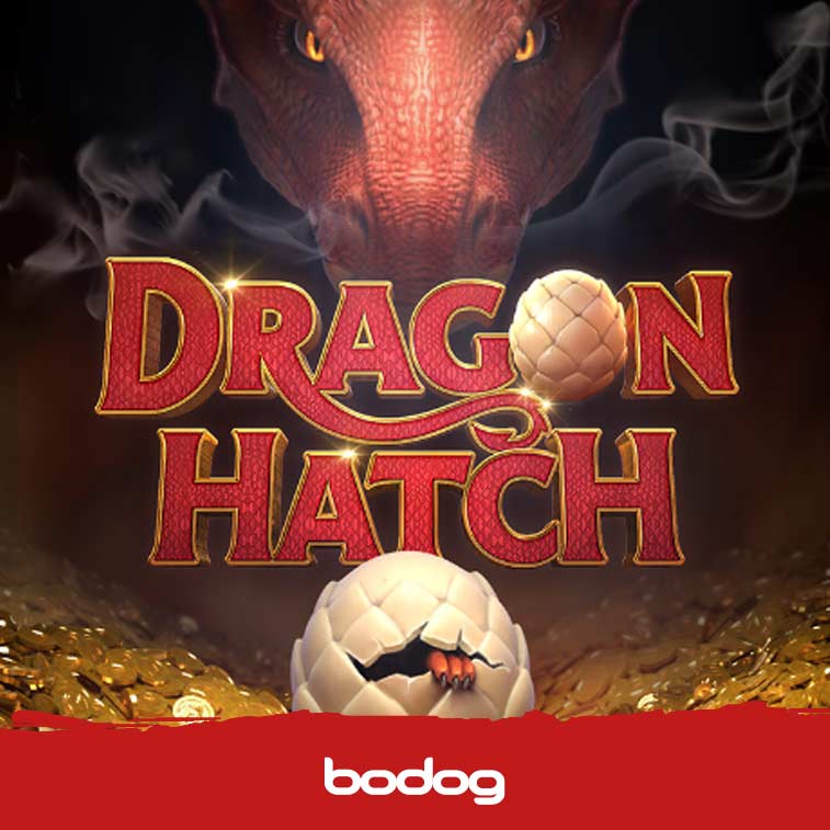 Dragon Hatch imagen de presentacion