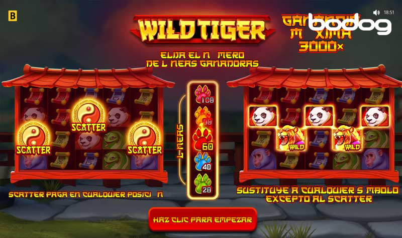 Wild Tiger presentacion