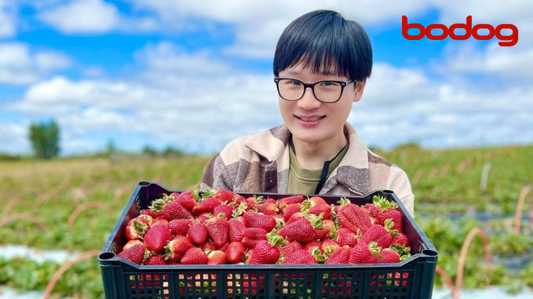 Yuhui Lee con fresas