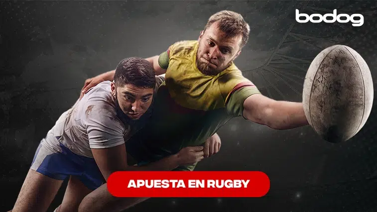 apostar rugby bodog