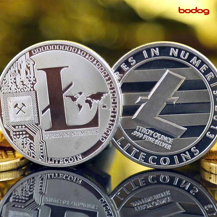 Moneda litecoin