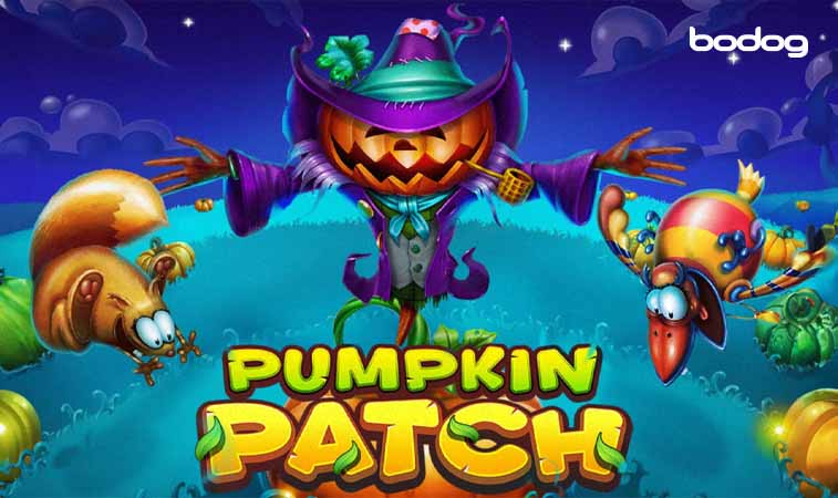 Pumpkin Patch