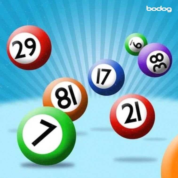 Números de bingo online