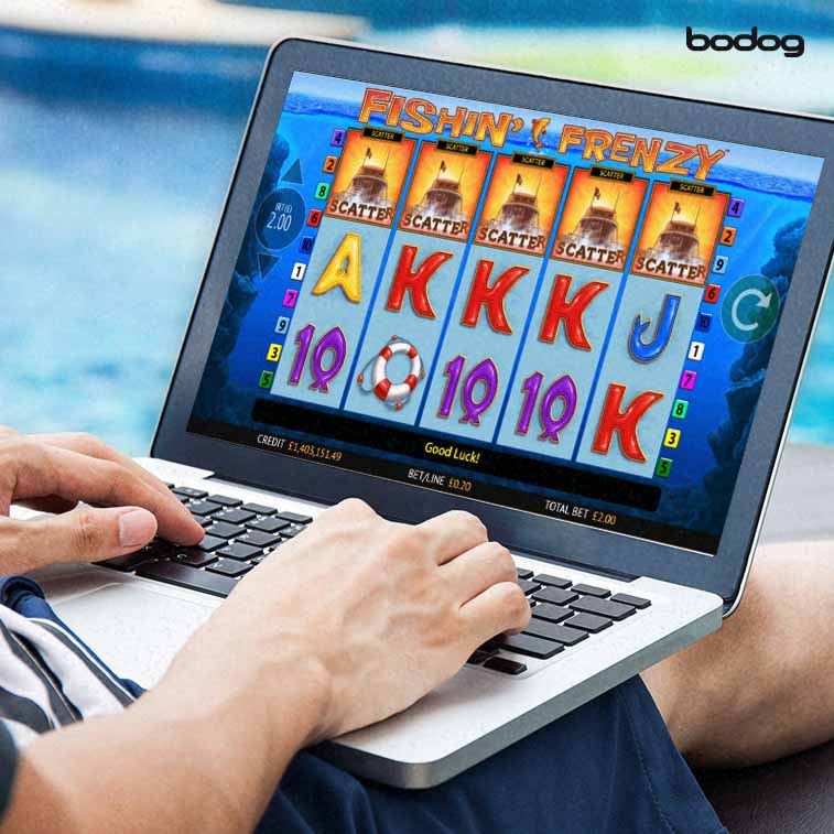 Persona jugando fisin frenzy en computadora