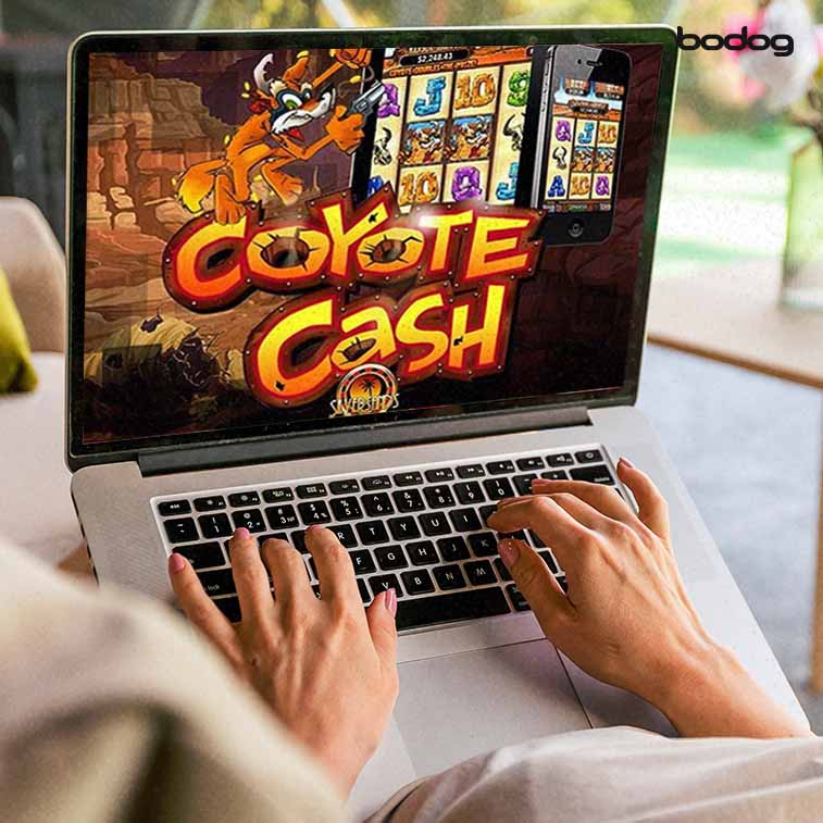 Persona jugando coyote cash en computadora