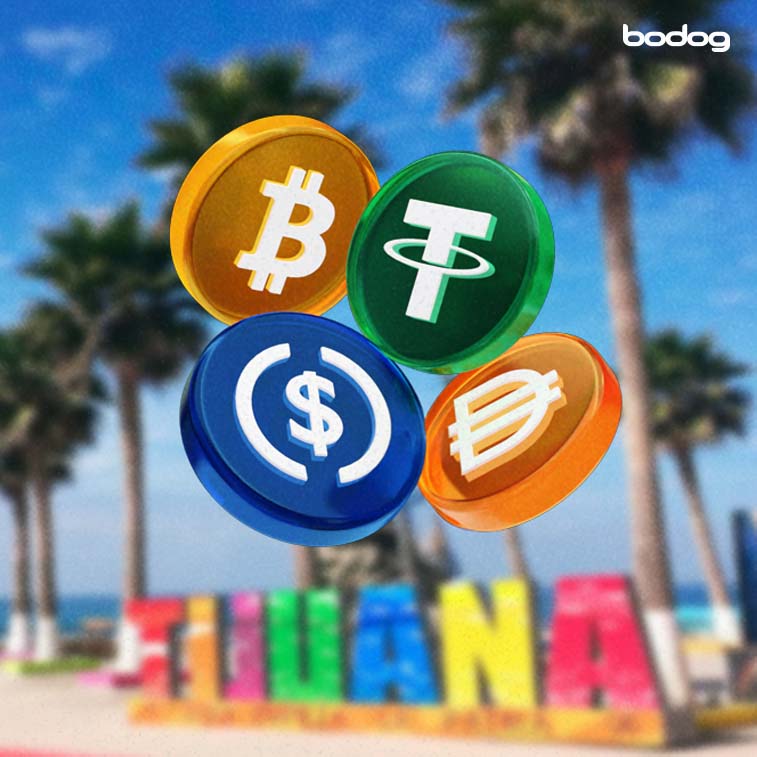 Punto turístico de Tijuana al fondo con criptomonedas cayendo